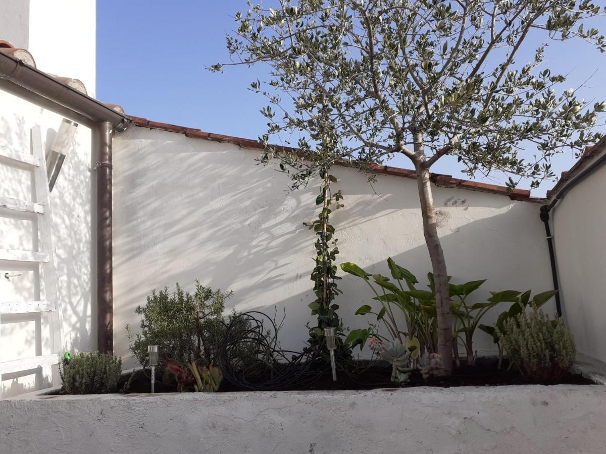 Il Nido Apartamento Terni Exterior foto